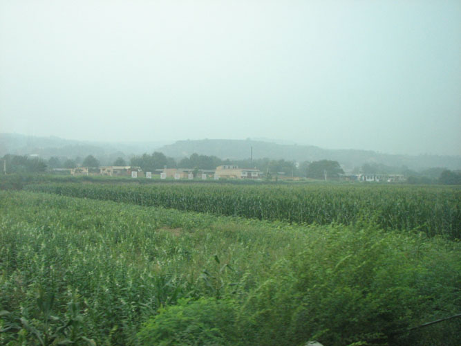 C_Train 013