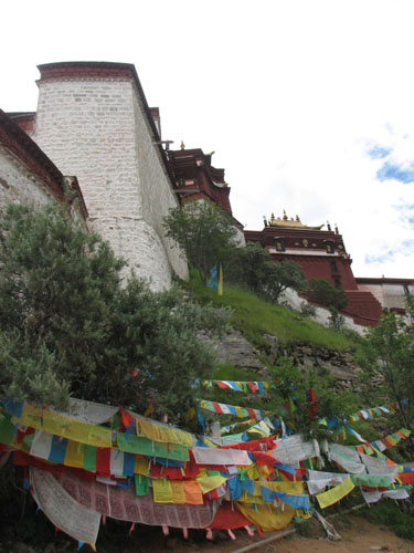 D_Lhasa 229